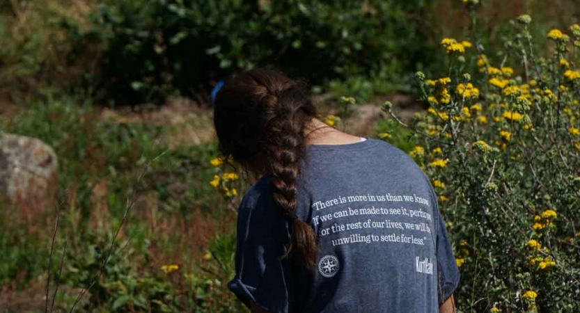 a person with their back to the camera sits among wildflowers, appearing to journal